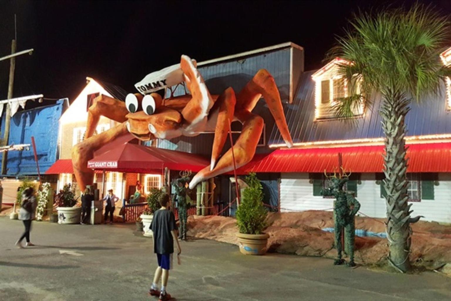 Ocean Annie'S Oceanview Studio,Scenic Views,Pools! Myrtle Beach Zewnętrze zdjęcie